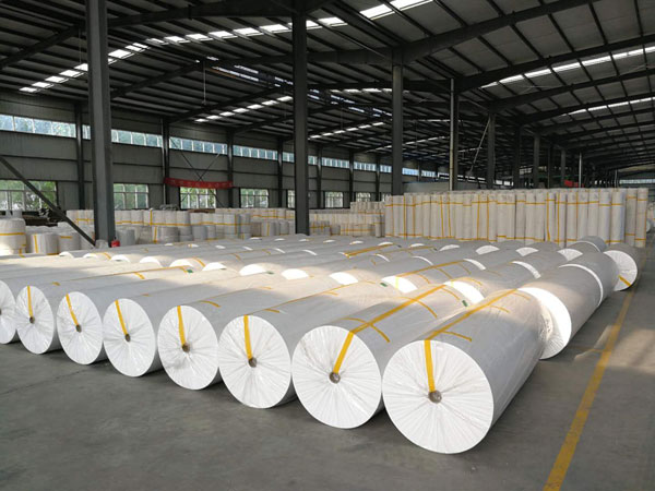 渔洋镇狭缝式涤纶纺粘无纺布